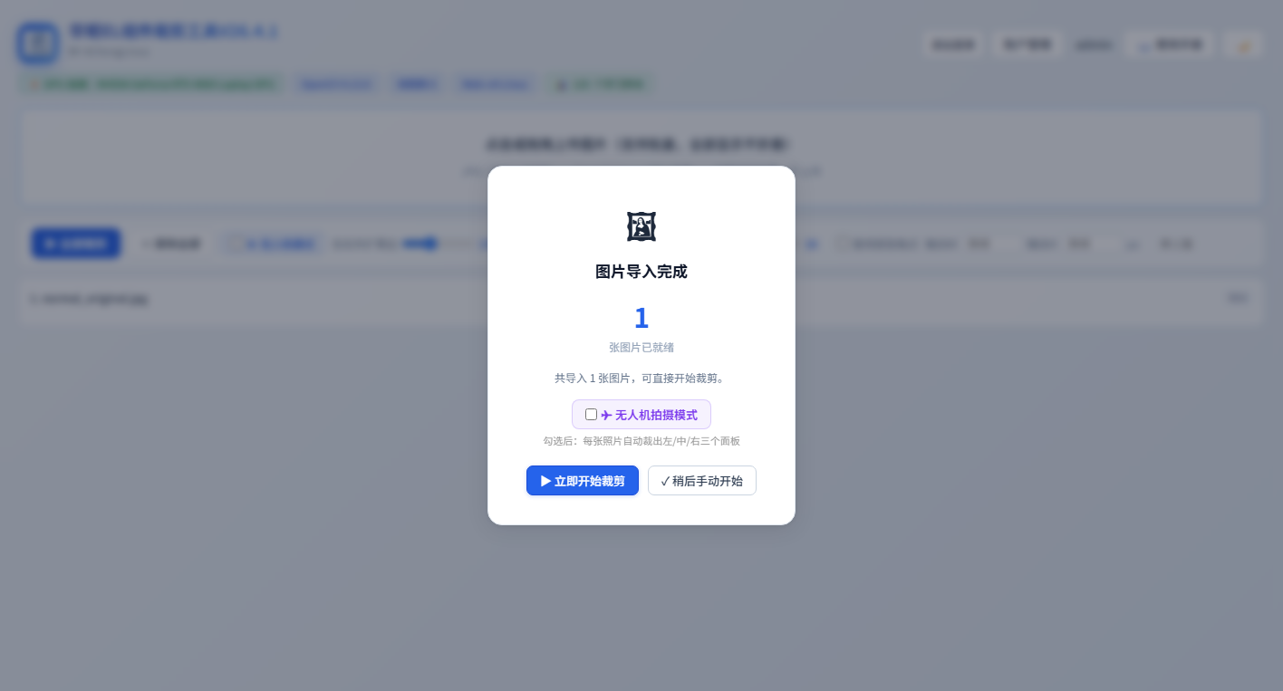 导入确认